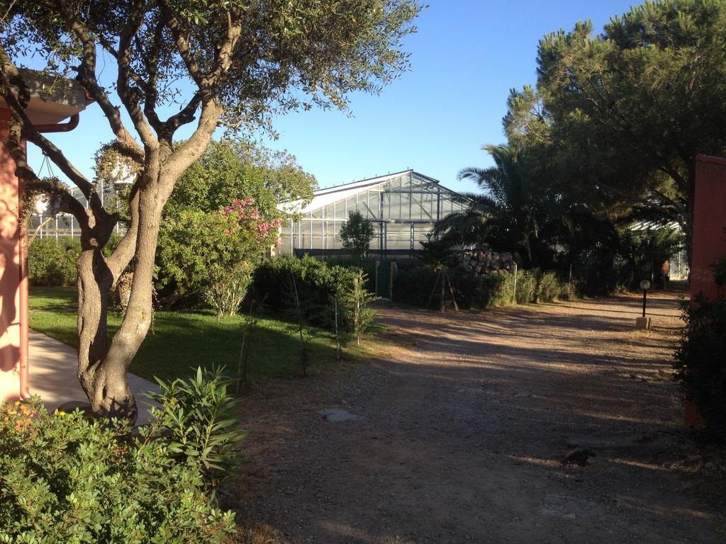 La Contea Bed & Breakfast SantʼAnna Arresi Oda fotoğraf