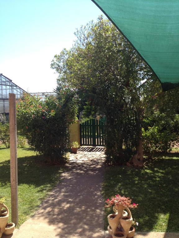 La Contea Bed & Breakfast SantʼAnna Arresi Dış mekan fotoğraf