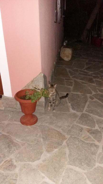 La Contea Bed & Breakfast SantʼAnna Arresi Dış mekan fotoğraf