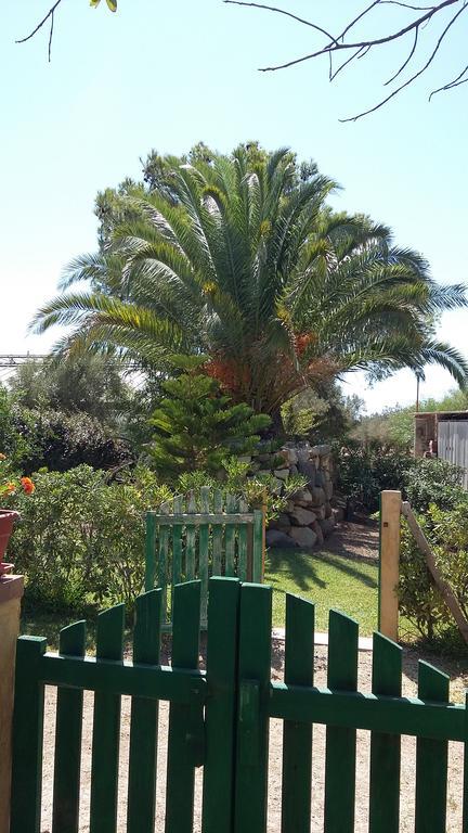 La Contea Bed & Breakfast SantʼAnna Arresi Dış mekan fotoğraf