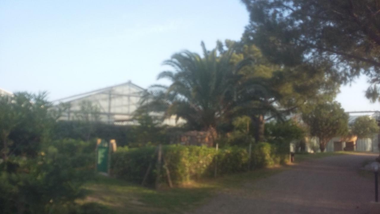 La Contea Bed & Breakfast SantʼAnna Arresi Dış mekan fotoğraf