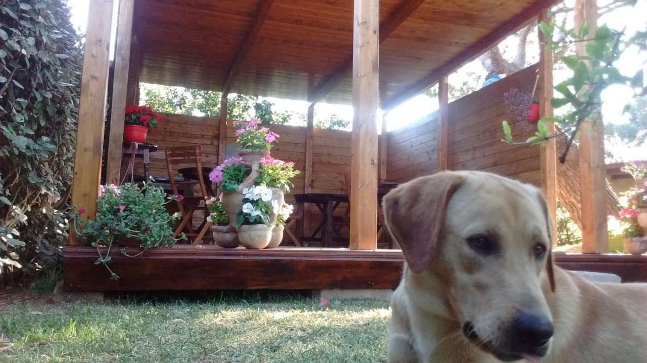 La Contea Bed & Breakfast SantʼAnna Arresi Dış mekan fotoğraf
